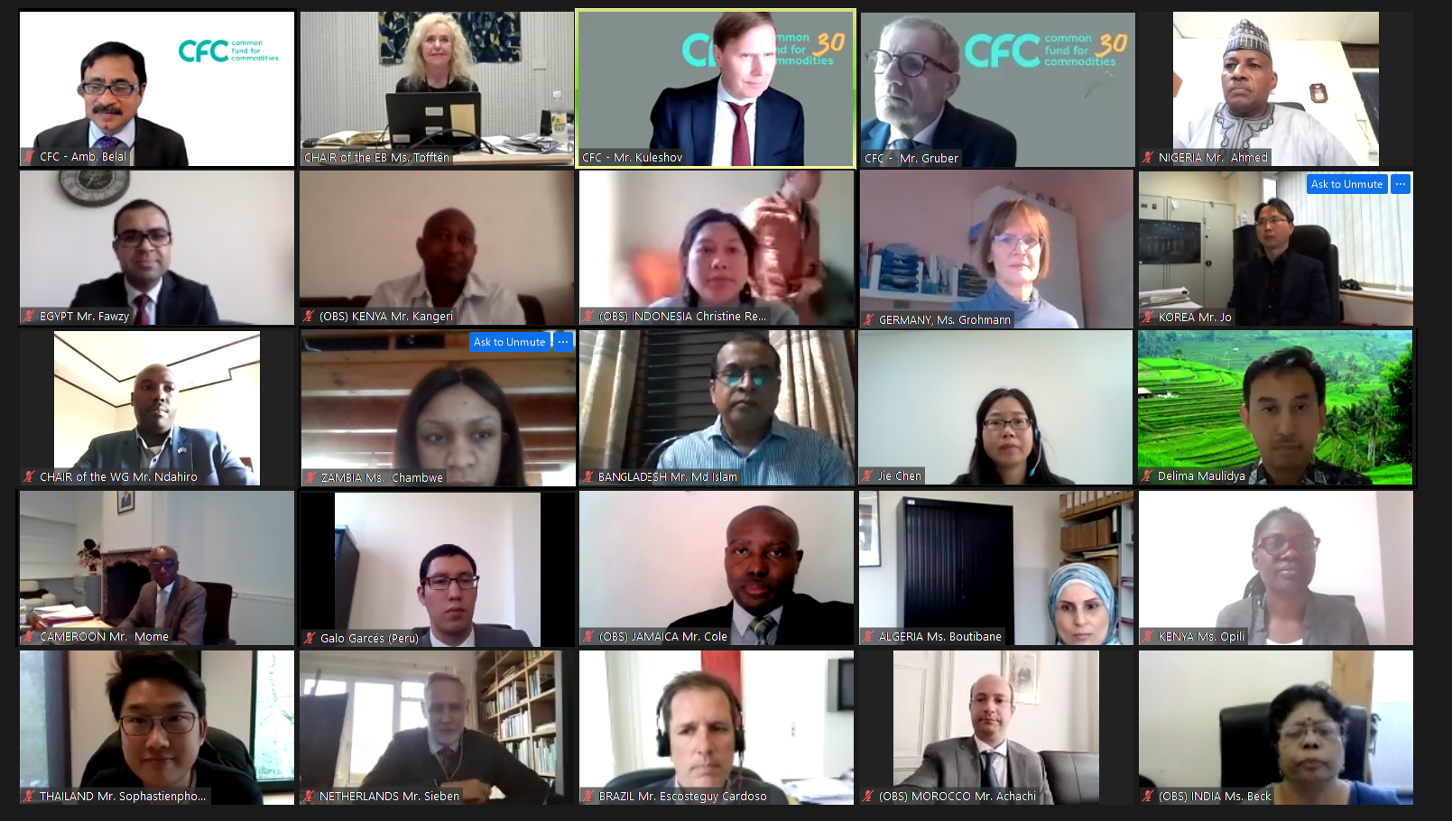 71st Meeting of the Executive Board, held by teleconference on 20 April 2021