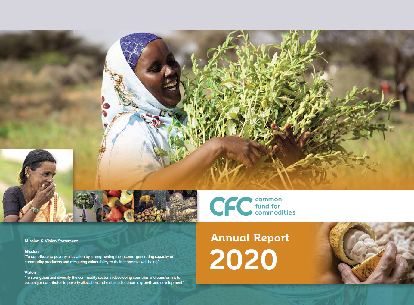 Annual Report 2020