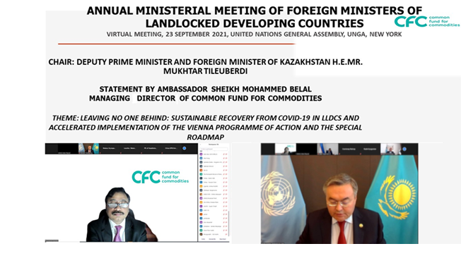 Annual Ministerial Meeting of Foreign Ministers of LLDCs