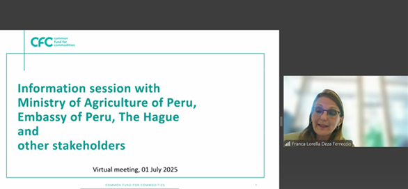 Amb_Peru_20250701