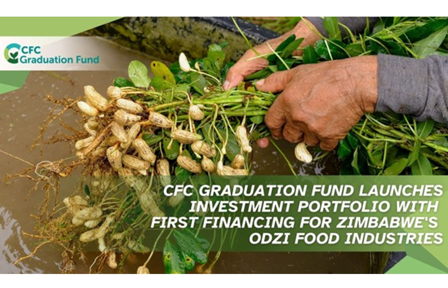 Graduation_Fund-Zimbabwe