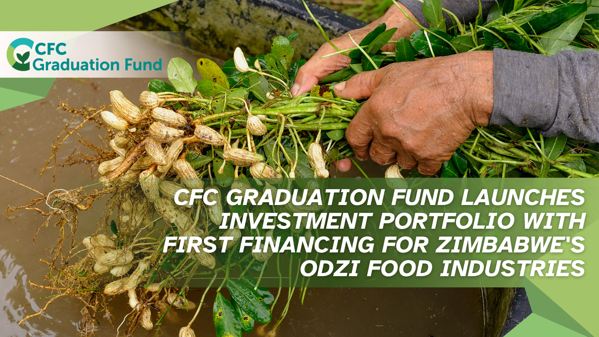 CFC FCDO ODZI 