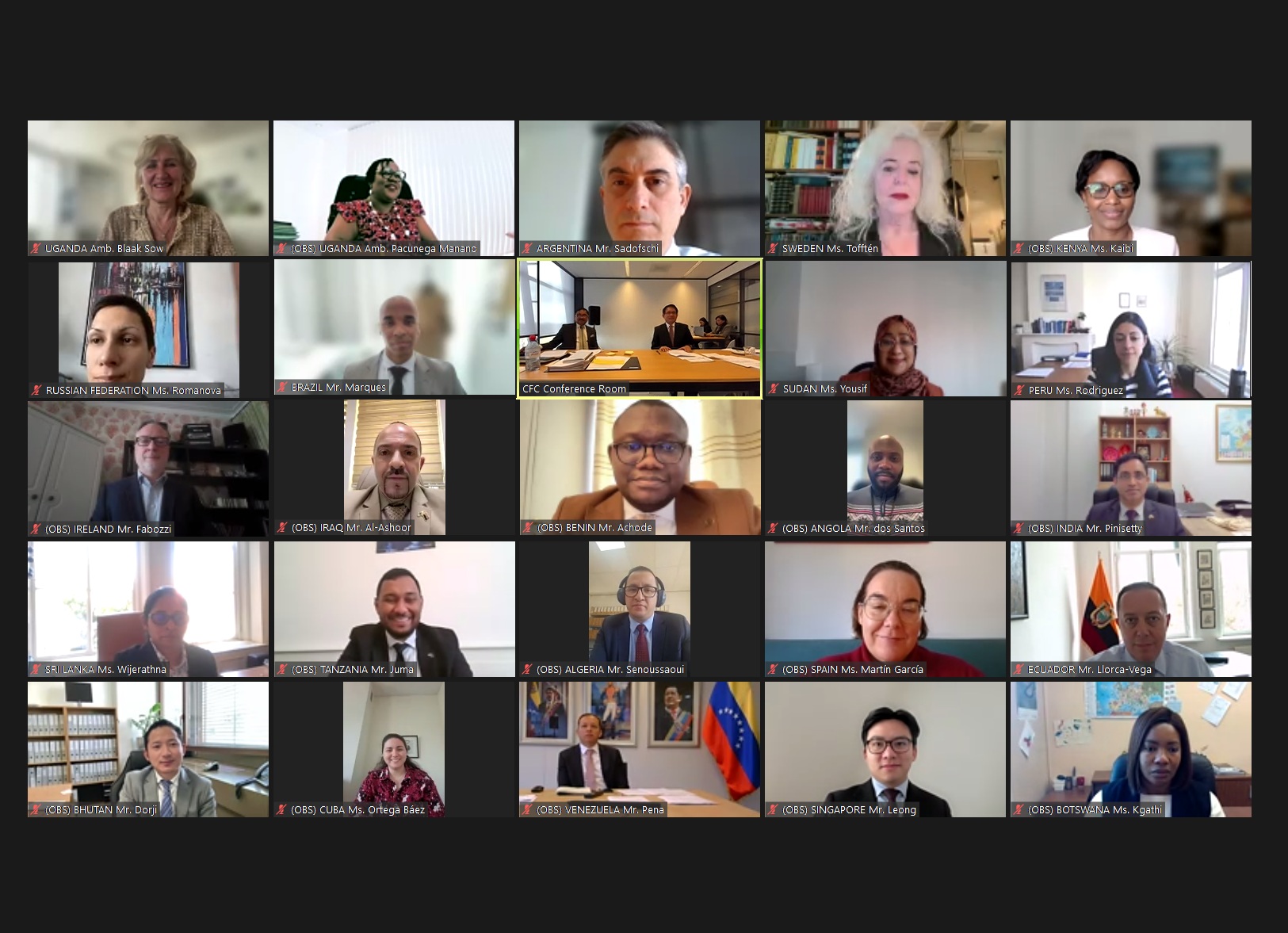 81st Meeting of the Executive Board