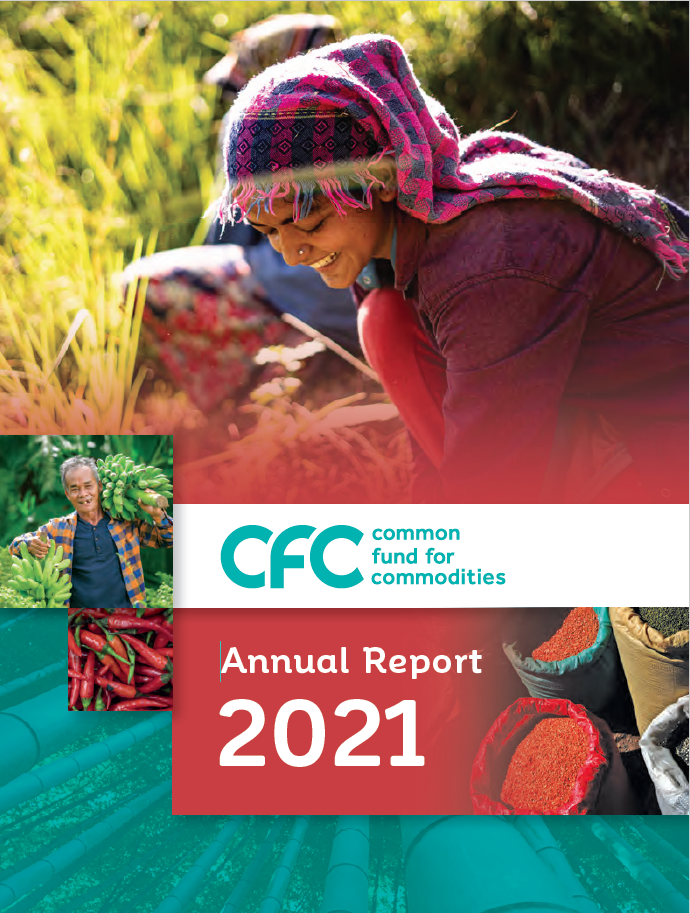 CFC Annual Report 2021