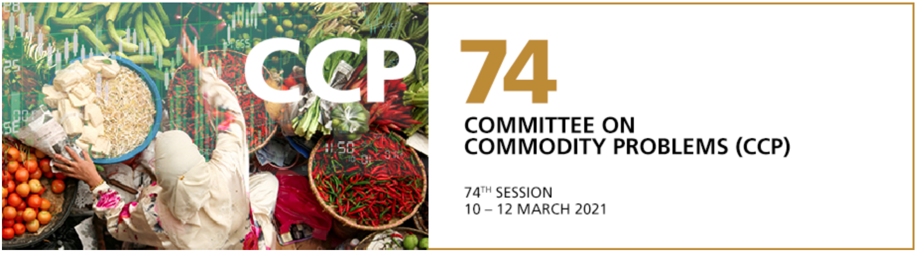 74th_Session_CCP_FAO(2)