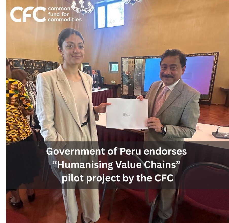 HVC_Peru
