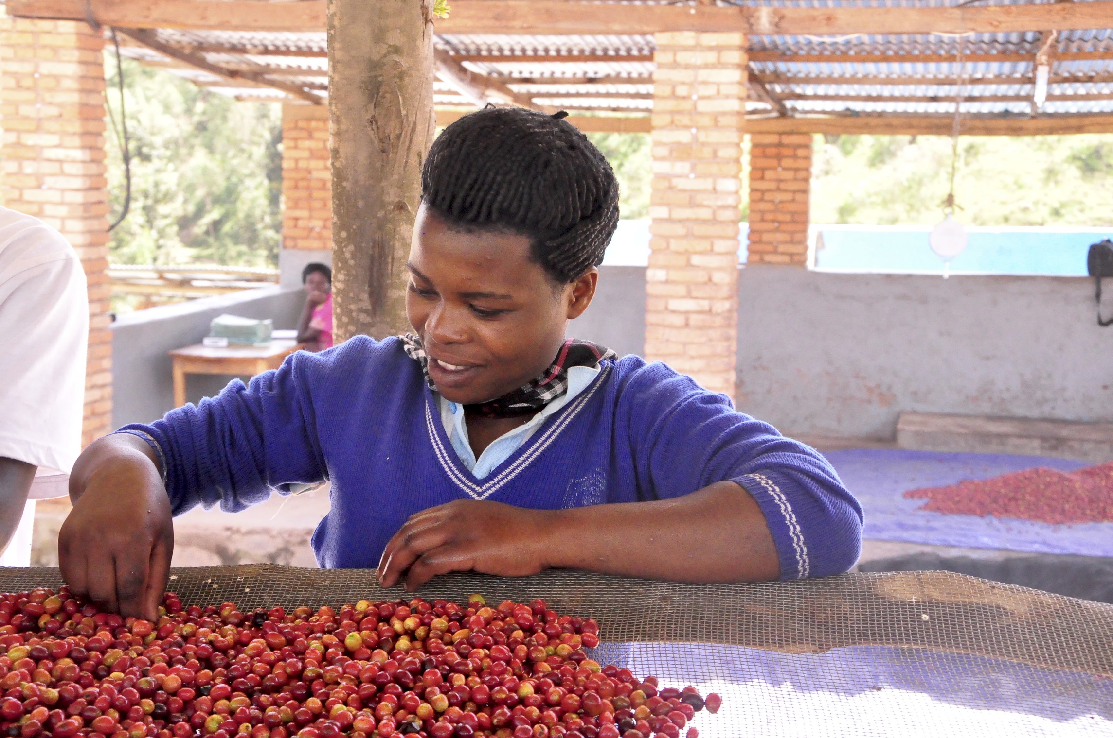 All Projects | Common Fund for Commodities