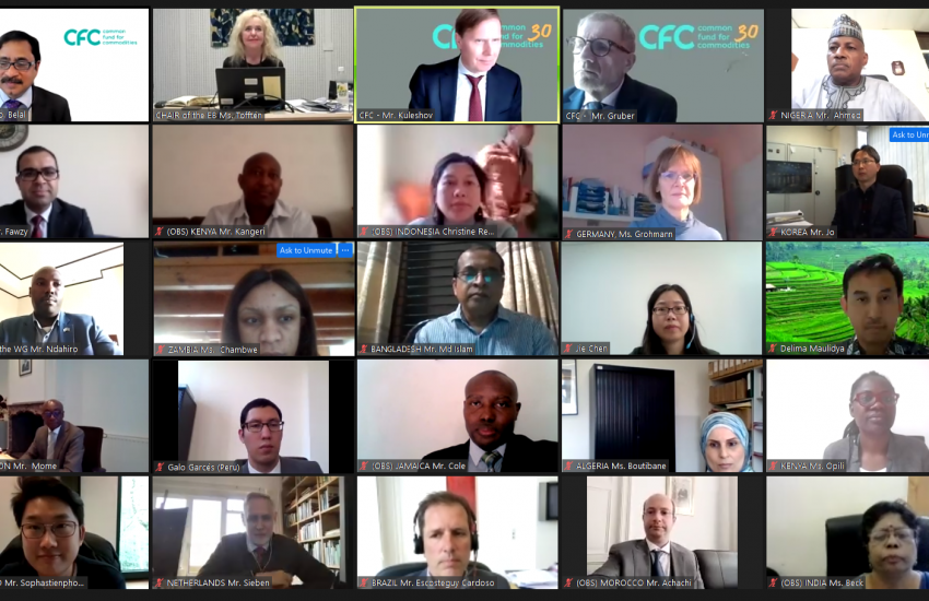 71st Meeting of the Executive Board, held by teleconference on 20 April 2021