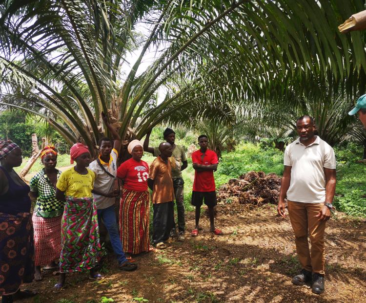 A farm group discusses the benefits of working with Goldtree