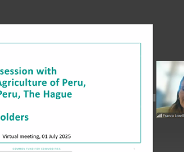 Amb_Peru_20250701