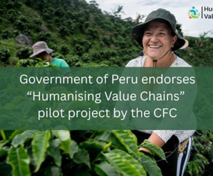 Peru_HVC