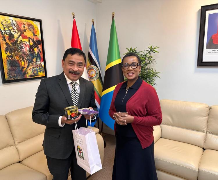Ambassador Tanzania