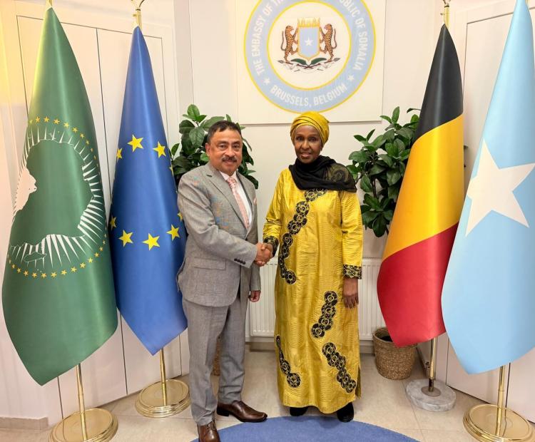 Ambassador of Somalia 20260520
