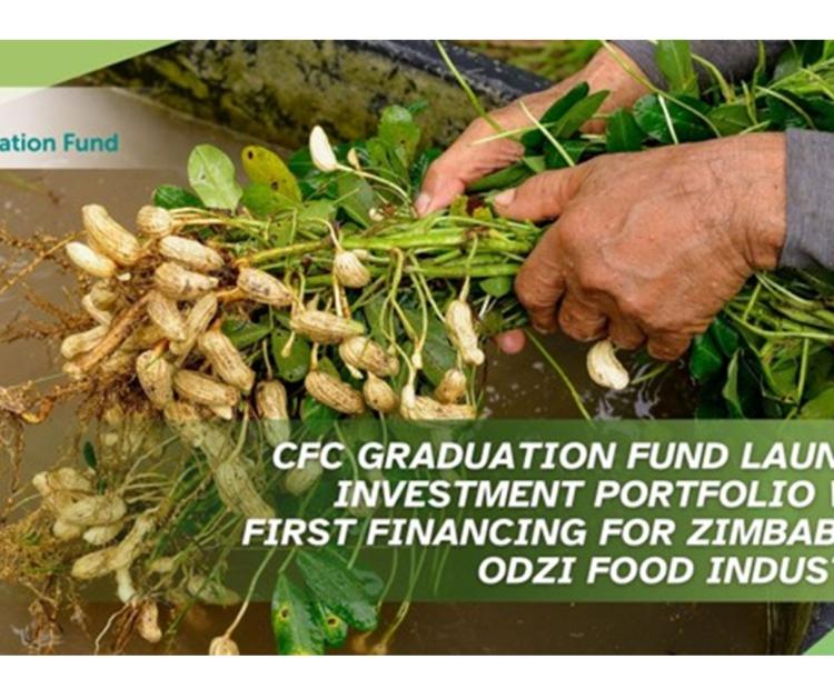 Graduation_Fund-Zimbabwe