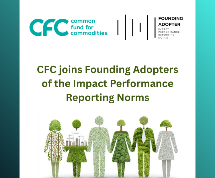 Graphic_CFC_Impact Performance Reporting_20260817